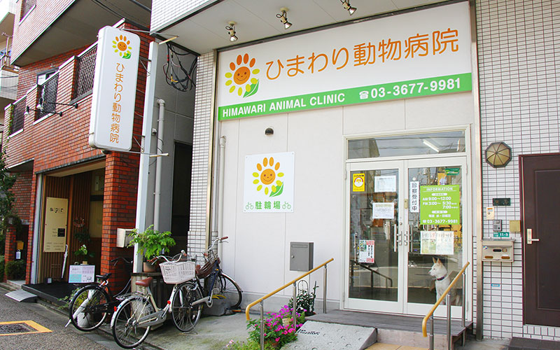 東京都江戸川区篠崎町の「ひまわり動物病院」です。 犬・猫・フェレット・ウサギ・ハムスターの診療を行っております。都営新宿線「篠崎」駅下車徒歩5分。